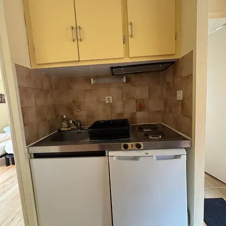 Studiosmichel 16 Balcon Thermes 400m A Pied شقة